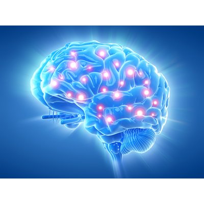Brain Implant Company in Search of Human Trials Partner