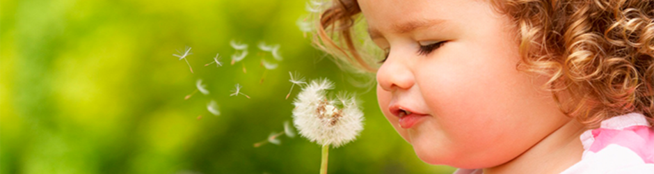 Allergy: what  you should do?