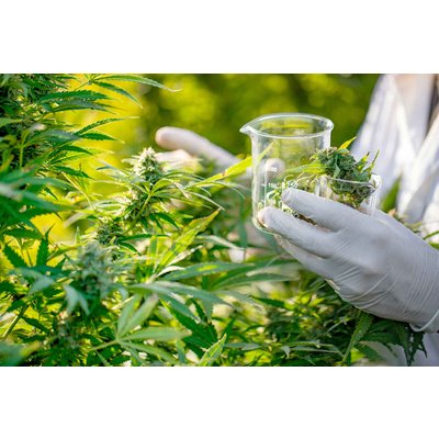 Positive Topline Results for Cannabinoid-Based Med for Nerve Pain