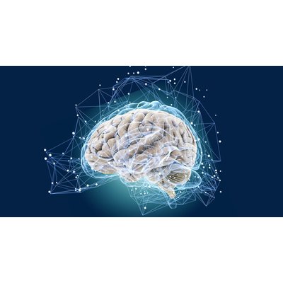 Neurologists have tested a unique method of brain rejuvenation