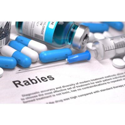 Scientists have developed a new rabies vaccine
