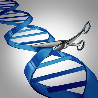 New genome editing technology